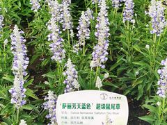 -国家植物园