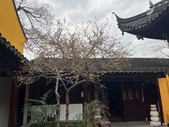 -司徒庙