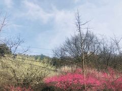 -北高峰