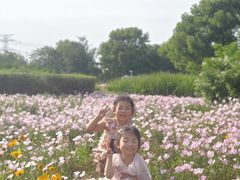 -九里河湿地公园