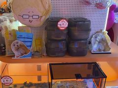 -可爱抓 COCO  GOTCHA(天津鹏欣水游城店)