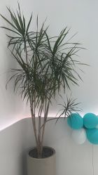 -LJOY丽锦造型·烫发染发