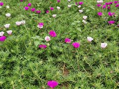 -秦皇岛野生动物园