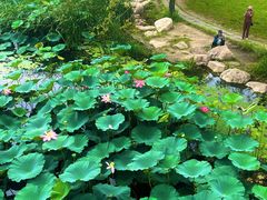 -长春市南湖公园