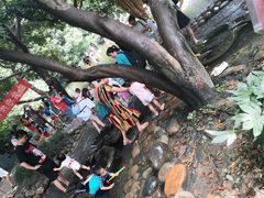 -成都市活水公园