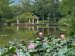 -中国科学院西双版纳热带植物园