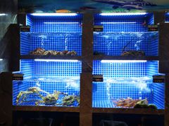 水产区-虾佬圣汤