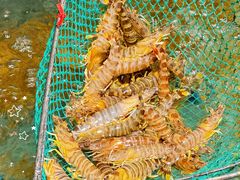 -好兄弟郭巨海鲜(天一阁店)