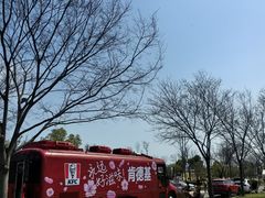 -苏州上方山国家森林公园
