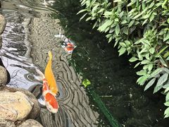 -寻味顺德·顺峰山庄(大良店)
