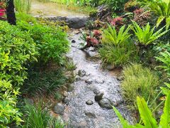 -东莞植物园