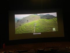 -万达影城(仓山万达广场激光IMAX店)