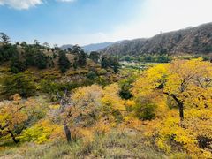 -五当召景区