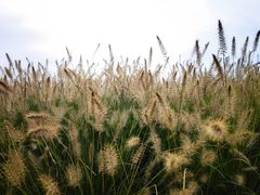 -汉长安城未央宫国家考古遗址公园