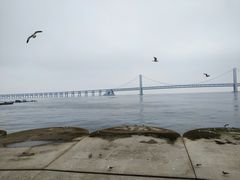 -星海广场