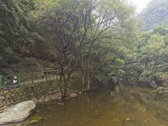 -少华山国家森林公园