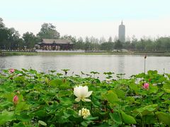 -西海子公园