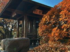 -莫子山公园