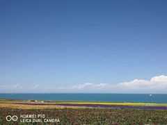 -青海湖国家重点风景名胜区