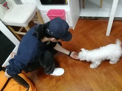 -多乐狗狗宠物训练工作室