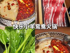 -快乐小羊·内蒙牛羊肉火锅(流花中心店)