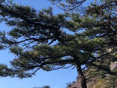 -萍乡武功山风景名胜区