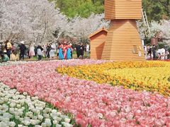 -苏州上方山国家森林公园