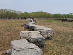 -西青郊野公园