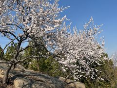 -白水寺森林公园