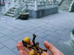 -卓刀泉寺