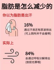 -Fundi张玉珊修身堂·indiba·BTL科技瘦身