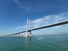 -招商蛇口邮轮母港(观光客运)