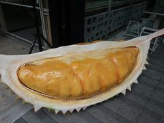 -都念榴莲·城市榴莲
