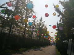 -菊园百果园
