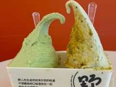-野人先生现做冰淇淋(北京王府井东方新天地店)
