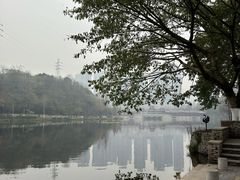 -重庆彩云湖湿地公园
