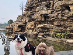 -枫香湖儿童公园