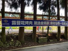 -武陵山森林公园