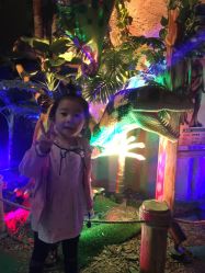 -恐龙探索乐园(磁器口店)