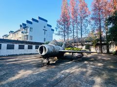 -枫泾古镇-人民公社旧址