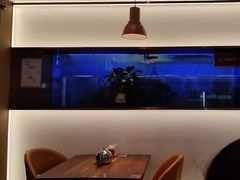 -老板恋上鱼(印象城店)