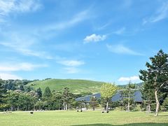 -奈良公园
