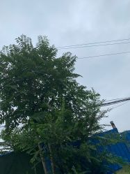 -HEYAN长风荷妍专业脱毛美肤
