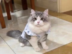 -派特宠物医院(圆融广场店)