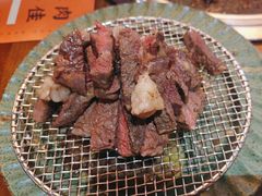 -杨小佳·齐齐哈尔烤肉·烤串(广州店)