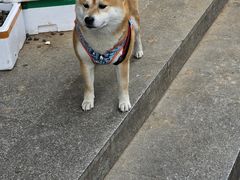 -酷乐潮玩(颛桥万达店)