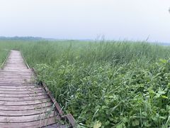 -西青郊野公园