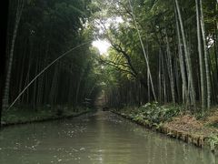 -同里国家湿地公园