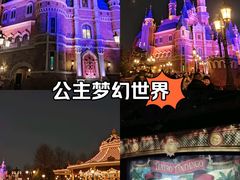 -上海迪士尼度假区