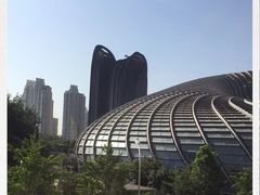 -凤凰中心